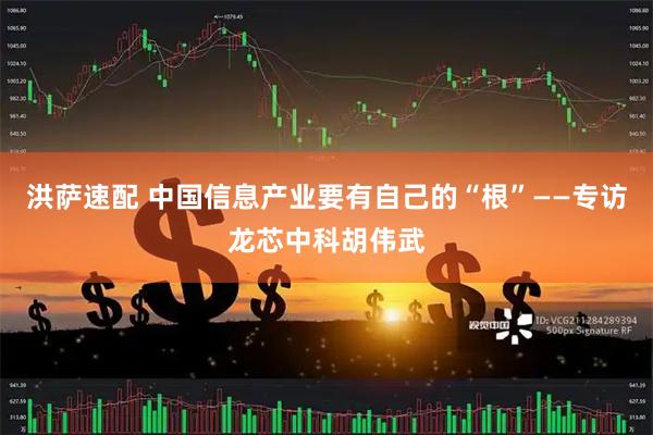 洪萨速配 中国信息产业要有自己的“根”——专访龙芯中科胡伟武