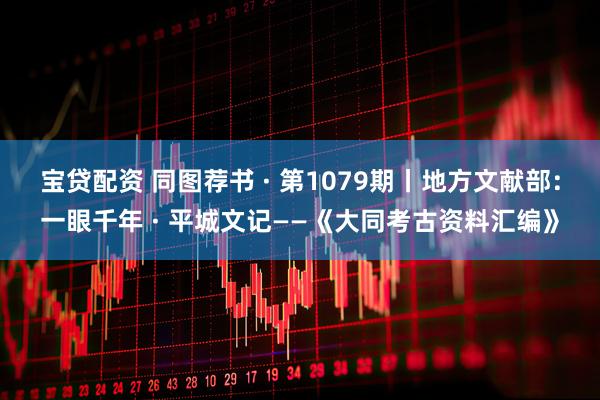 宝贷配资 同图荐书 · 第1079期丨地方文献部：一眼千年 · 平城文记——《大同考古资料汇编》