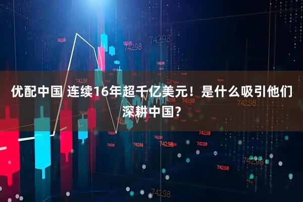 优配中国 连续16年超千亿美元！是什么吸引他们深耕中国？